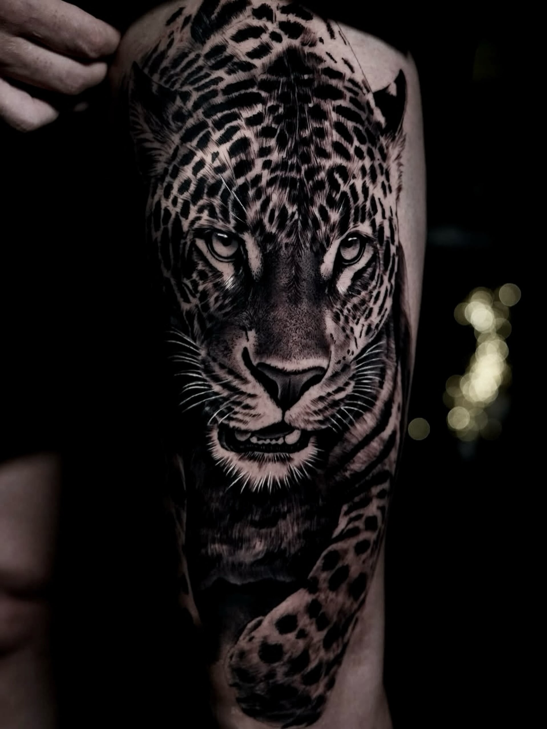 🧡Schreibt uns gerne eine Nachricht für euren Termin. Wir freuen uns auf euch 🍀
Ivory Tattoo Berlin
Platz vor dem neuen Tor 1B
10115 Berlin
____________________________
DM us for further Informations about
Appointments
Ivory Tattoo Berlin
Platz vor dem neuen Tor 1B
10115 Berlin
#tattooberlin#tattoostudioberlin#tattoostudioinberlin#realistictattoos#tattootattoostattookunsttattoodeutschlandtattooberlin
