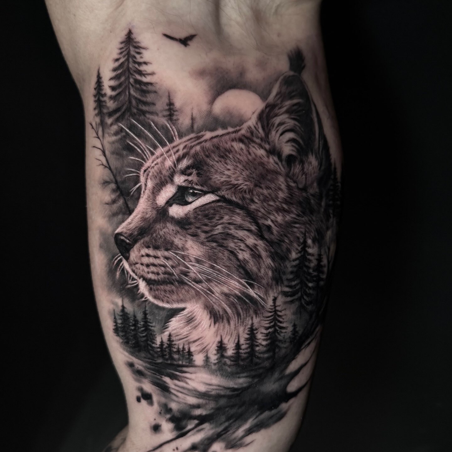 🧡Schreibt uns gerne eine Nachricht für euren Termin. Wir freuen uns auf euch 🍀

Ivory Tattoo Berlin
Platz vor dem neuen Tor 1B
10115 Berlin
____________________________ 
DM us for further Informations about 
Appointments

Ivory Tattoo Berlin
Platz vor dem neuen Tor 1B
10115 Berlin

#tattooberlin#tattoostudioberlin#tattoostudioinberlin#tattoo