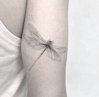 🧡Schreibt uns gerne eine Nachricht für euren Termin. Wir freuen uns auf euch 🍀

Ivory Tattoo Berlin
Platz vor dem neuen Tor 1B
10115 Berlin
____________________________ 
DM us for further Informations about 
Appointments

Ivory Tattoo Berlin
Platz vor dem neuen Tor 1B
10115 Berlin

#tattooberlin#tattoostudioberlin#tattoostudioinberlin#tattoo