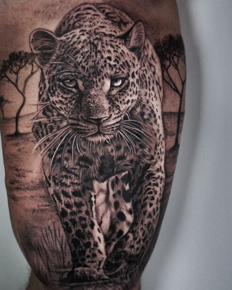 Leopard